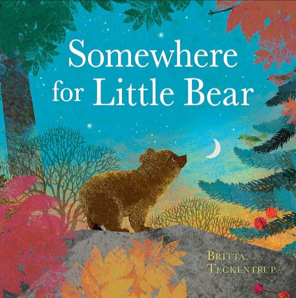 Somewhere for Little Bear