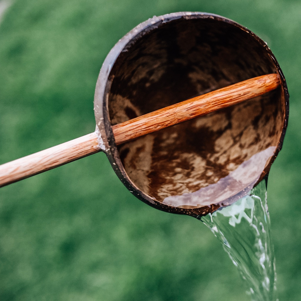 Coconut Water Scoop