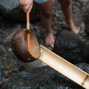 Coconut Water Scoop